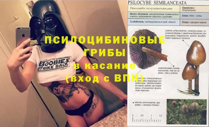 Магазин наркотиков Балахна ГАШ  Cocaine  A-PVP  Каннабис  Мефедрон 